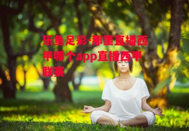 乐鱼足彩-那里直播西甲哪个app直播西甲联赛