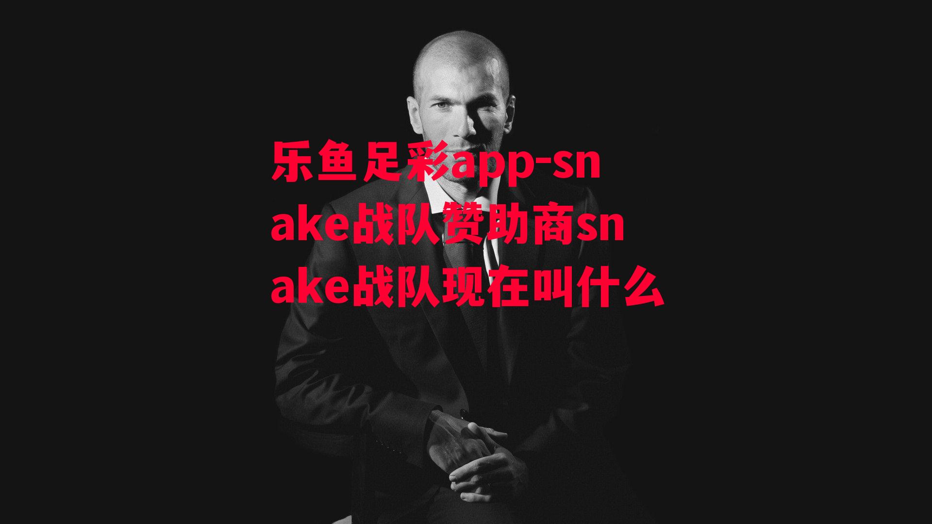 snake战队赞助商snake战队现在叫什么